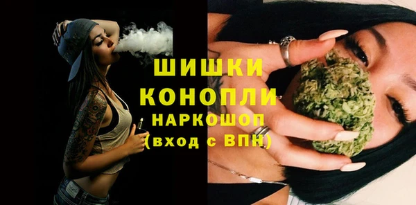 ECSTASY Богданович