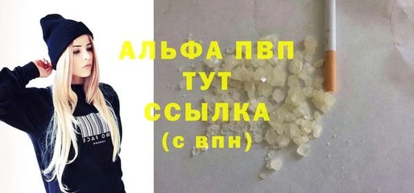 ECSTASY Богданович