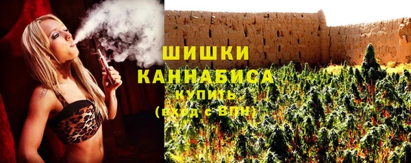 ECSTASY Богданович