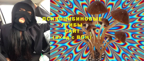 ECSTASY Богданович