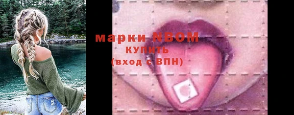 ECSTASY Богданович