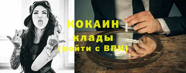 ECSTASY Богданович