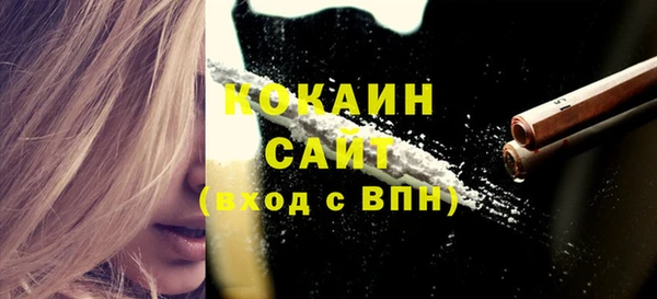 ECSTASY Богданович