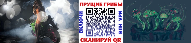 Галлюциногенные грибы Magic Shrooms  Вельск 